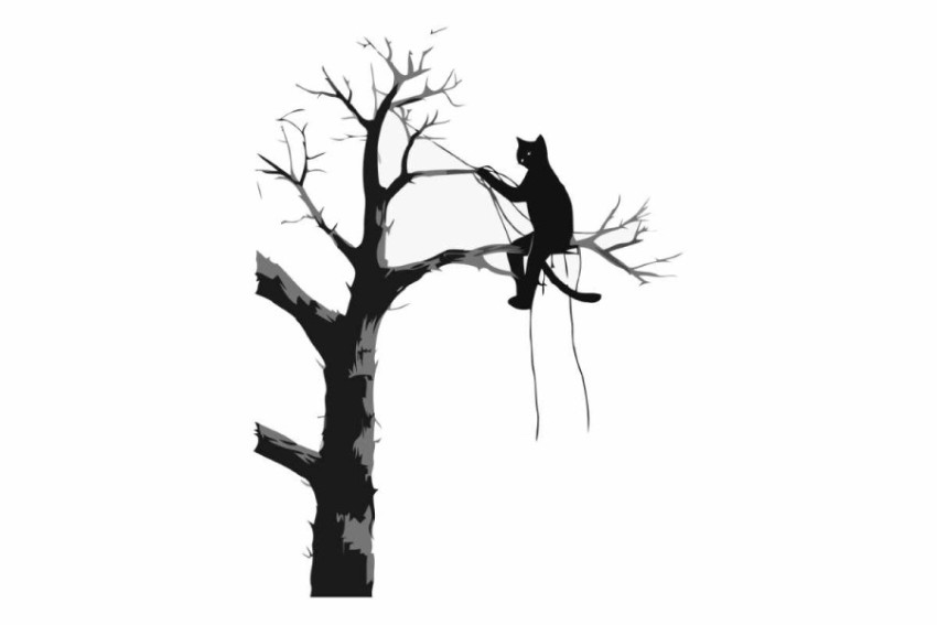 Silhouette of a cat on a tree.