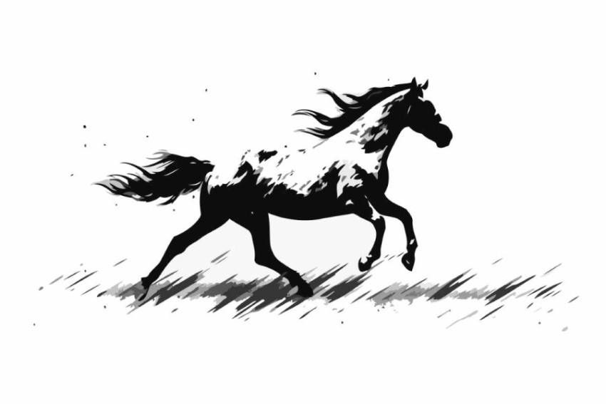 Running gallop horse of a black horse on white background.