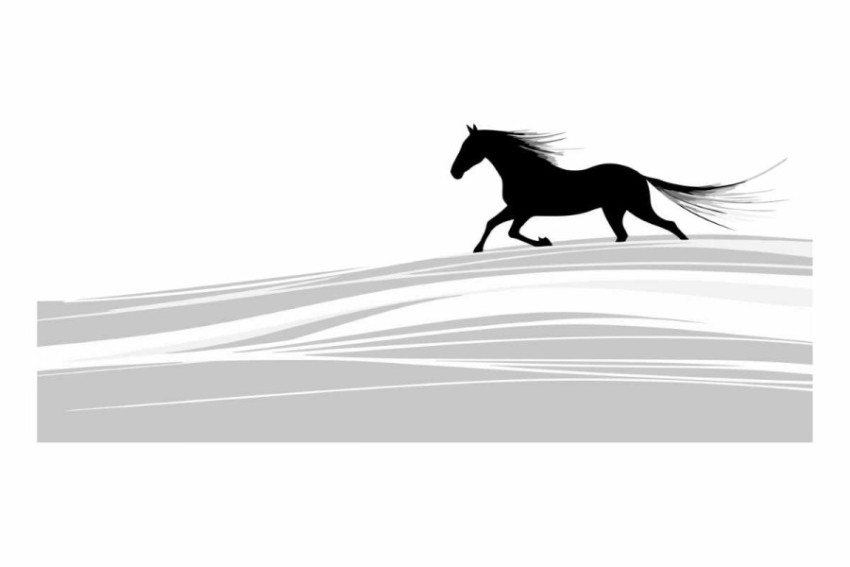 Horse on a white background of a horse.