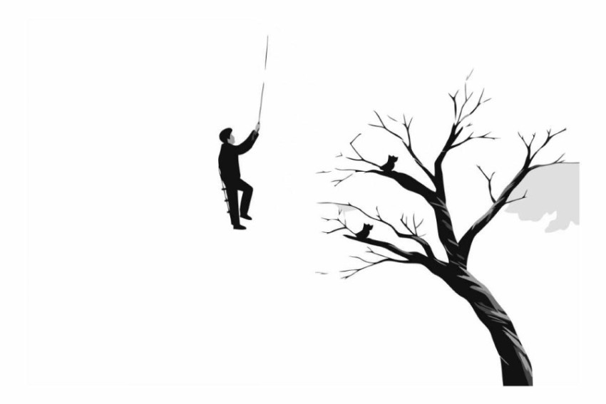 Silhouette of a man climbing a tree.